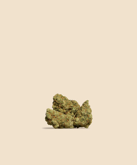 Amnesia Haze CBD Flower - CBD Blom