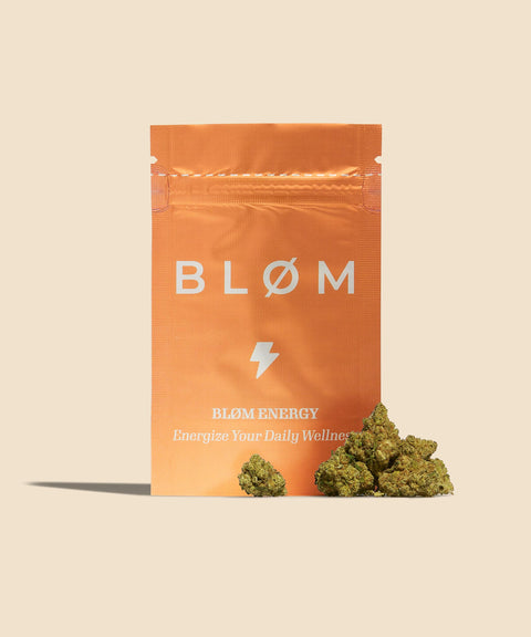 Amnesia Haze CBD Small Buds Autumn Promo - CBD Blom