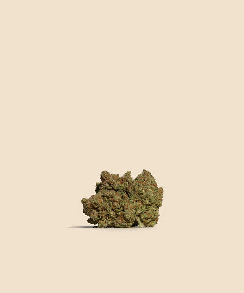 Gorilla Glue Hybrid CBD Flower Autumn Promo - CBD Blom