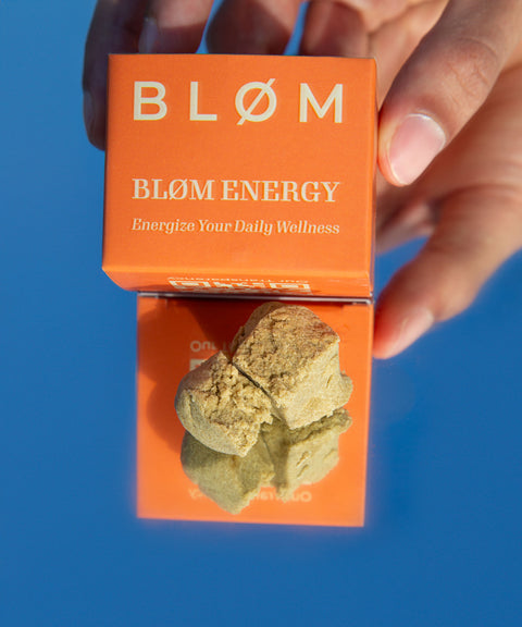 Lime Shocker CBD Hash - CBD Blom