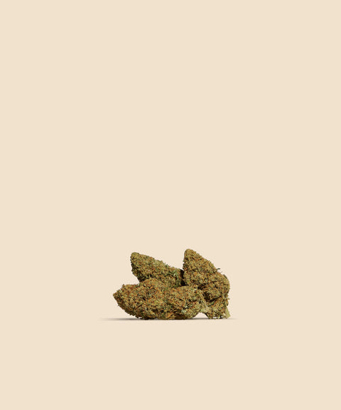 Mimosa CBD Flower - CBD Blom