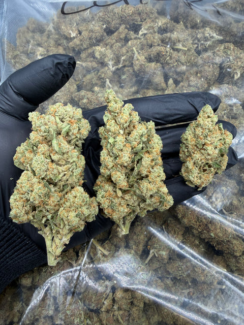 Amnesia Haze CBD Flower - CBD Blom