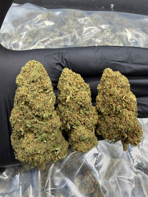 Mango CBD Flower - CBD Blom