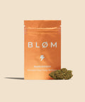 Mango CBD Flower - CBD Blom