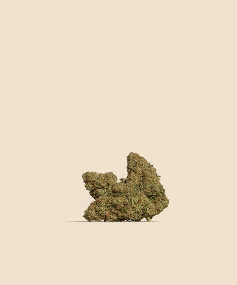 Northern Light CBD Flower - CBD Blom